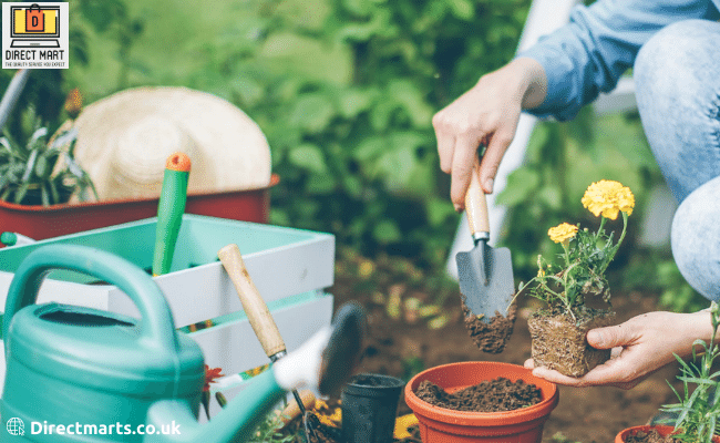 The Best Gardening Tools & Accessories of 2024
