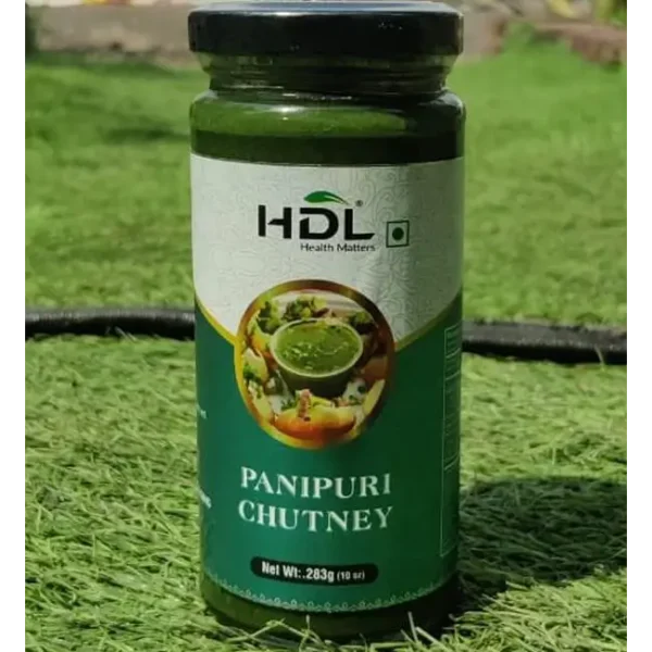 HDL PANI PURI CHUTNEY 283G