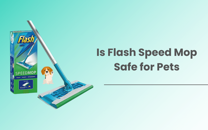 Is Flash Speed Mop Safe for Pets (Dogs & Cat)
