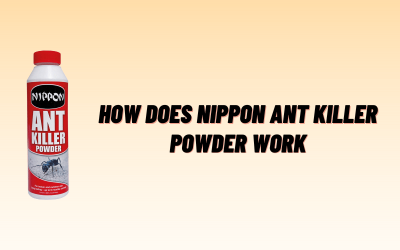 How Does Nippon Ant Killer Powder Work? [Detailed Explanation]
