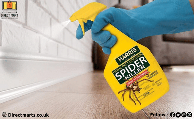What Is Spider Killer Spray?