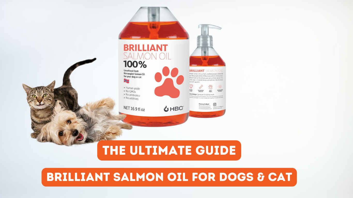 The Ultimate Guidе: Brilliant Salmon Oil For Dogs & Cat [2024]
