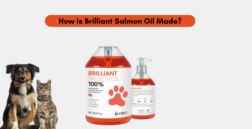 How is Brilliant Salmon Oil Made?