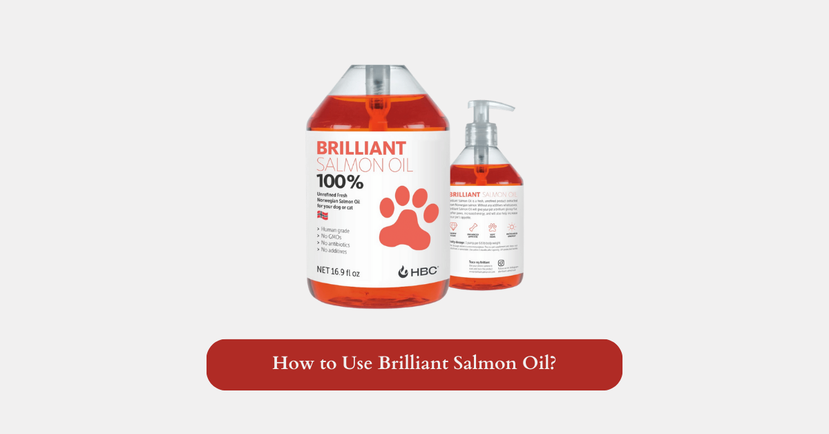 How to Use Brilliant Salmon Oil?