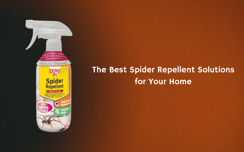 The Best Spider Repellent Solutions for Your Home