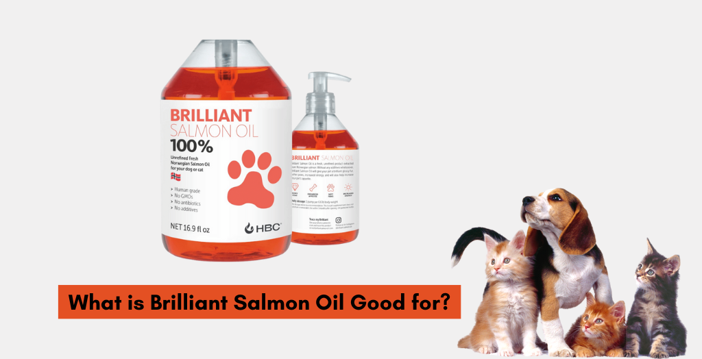 Brilliant salmon oil for dogs