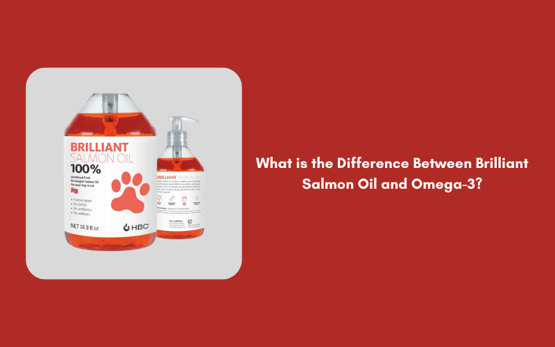 What is the Difference Between Brilliant Salmon Oil and Omega-3?
