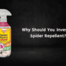 Spider repellent spray