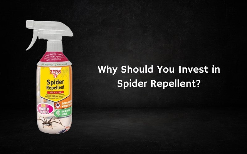 Why Should You Invest in Spider Repellent?