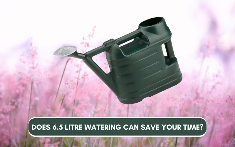 6.5 Litre Watering Can