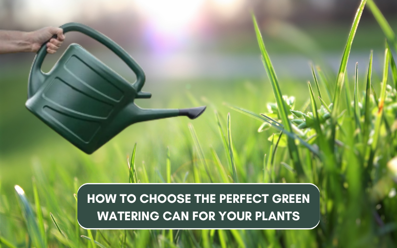 How to Choose the Perfect Green Watering Can for Your Plants