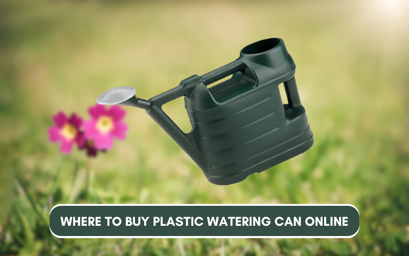 Where to Buy Plastic Watering Can Online