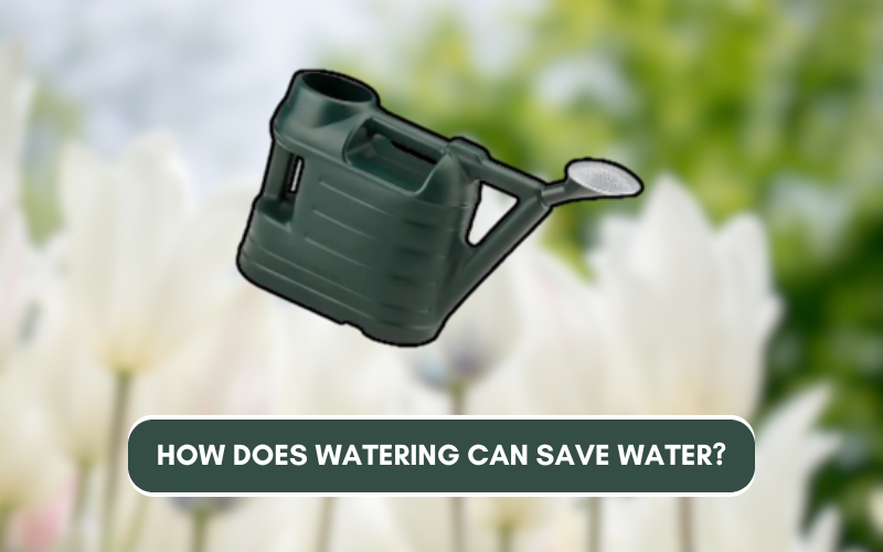 How Does Watering Can Save Water?