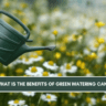 Benefits of Green Watering Can