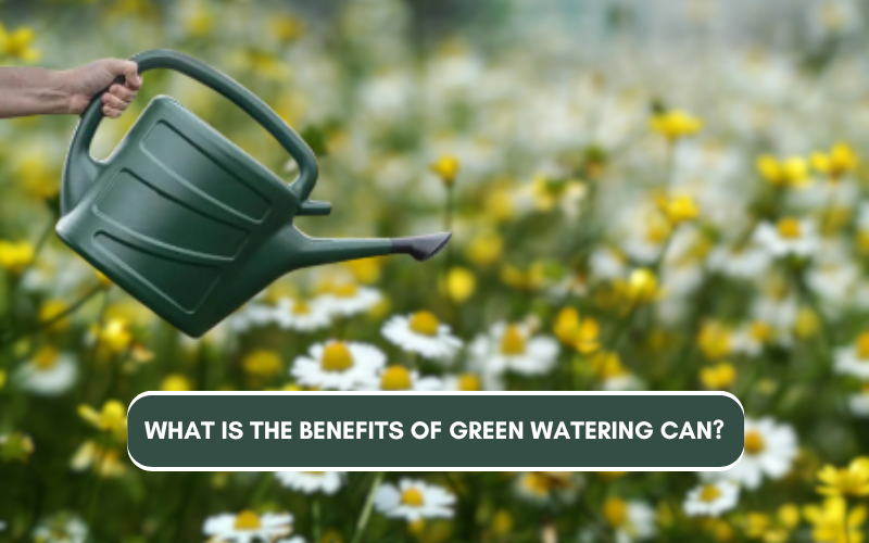 What is the Benefits of Green Watering Can?